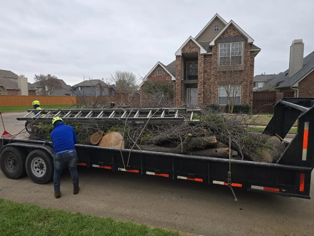 Expert Tree Removal with proper safety equipment in Tuskegee